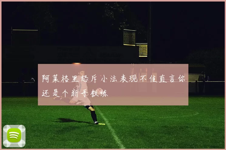 阿莱格里怒斥小法表现不佳直言你还是个新手教练