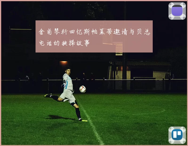 舍甫琴科回忆斯帕莱蒂邀请与贝总电话的抉择故事